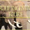 Group Incentive Tours